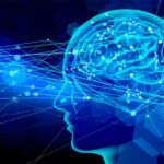 AI serviceの真実：高額料金と無登録業者の危険性を徹底解説