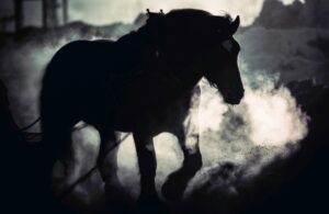 METAHORSE(メタホース)攻略ガイド：競馬ファン必見のPlay to Earnゲーム！