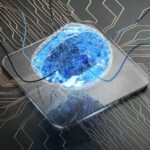 Stable Diffusionの魅力と活用法：無料で使える画像生成AIの可能性を徹底解説