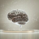 Stable Diffusionを極める！追加学習で自分だけの画像生成を実現しよう