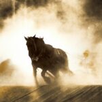 メタホース攻略ガイド：NFT競馬ゲームで稼ぐ秘訣と始め方