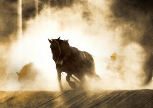 メタホース攻略ガイド：NFT競馬ゲームで稼ぐ秘訣と始め方