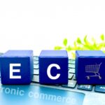 カラーミーショップの真の課題と解決策：初心者でも成功できるECサイト運営のコツ