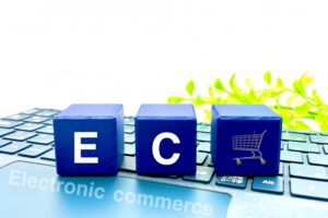 カラーミーショップの真の課題と解決策：初心者でも成功できるECサイト運営のコツ