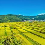 Stable Diffusionを無料で楽しもう！おすすめブラウザツール3選と使い方完全ガイド