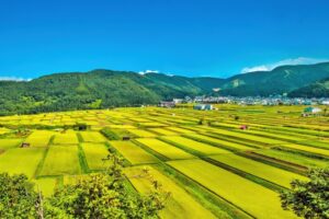 Stable Diffusionを無料で楽しもう！おすすめブラウザツール3選と使い方完全ガイド