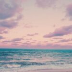 SNSで成功する！魅力的な発信で顧客の心をつかむ7つの秘訣