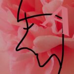 画像を動画に変換して稼ぐ！副業で月10万円も夢じゃない動画編集ビジネスの始め方