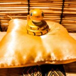 金運アップの秘訣！お金持ちになれる人の7つの特徴と習慣